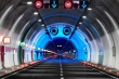 Ovit_2